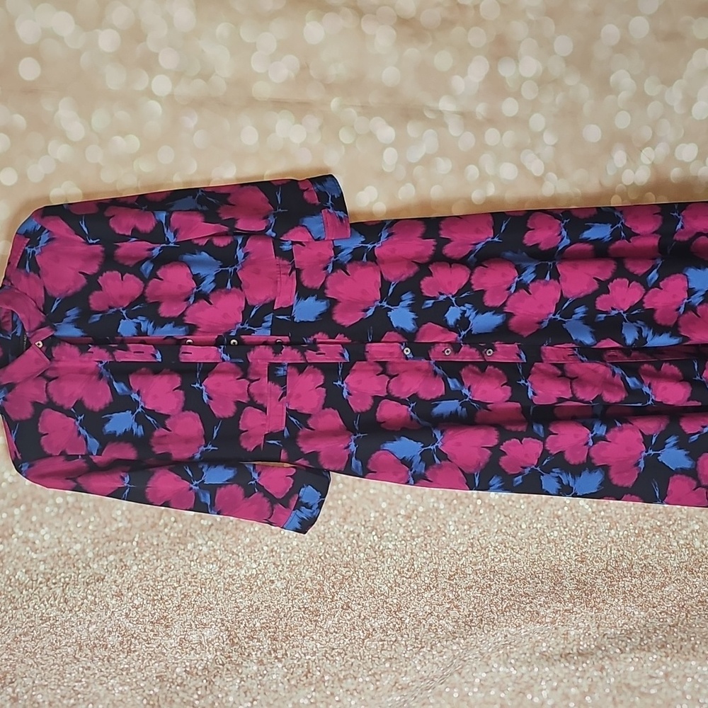 Banana Republic Floral Long Sleeve Dress - Pink and Blue